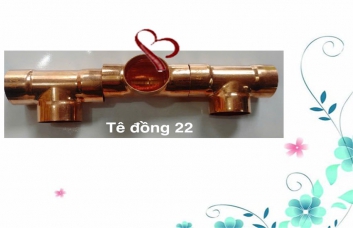 Tê đồng 22